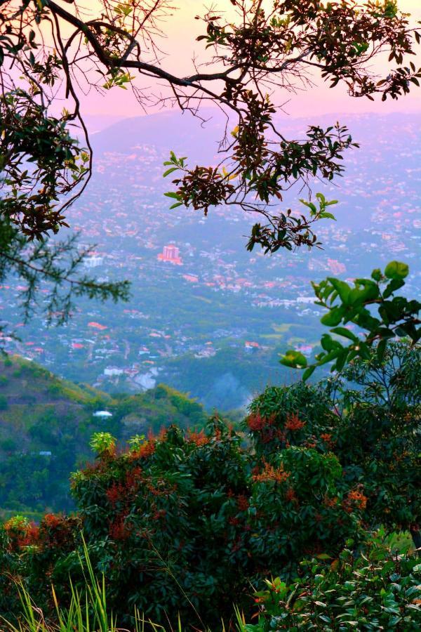 Ginger Lodge Cottage, Peters Rock, Woodford Po St Andrew, Jamaica - This Property Is Not In Jacks Hill Kingston Buitenkant foto