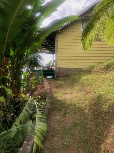 Ginger Lodge Cottage, Peters Rock, Woodford Po St Andrew, Jamaica - This Property Is Not In Jacks Hill Kingston Buitenkant foto