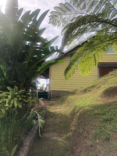 Ginger Lodge Cottage, Peters Rock, Woodford Po St Andrew, Jamaica - This Property Is Not In Jacks Hill Kingston Buitenkant foto